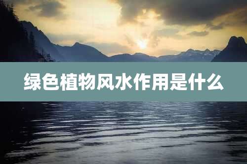 绿色植物风水作用是什么