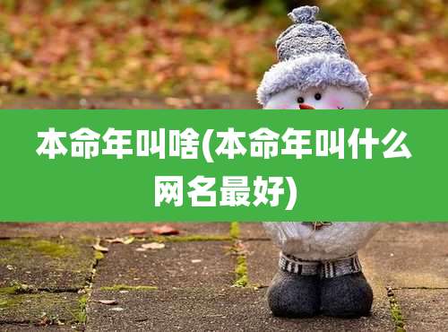 本命年叫啥(本命年叫什么网名最好)