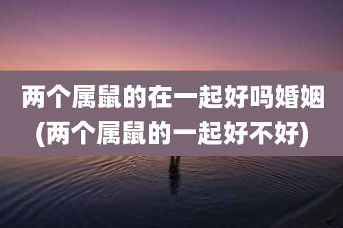 两个属鼠的在一起好吗婚姻(两个属鼠的一起好不好)