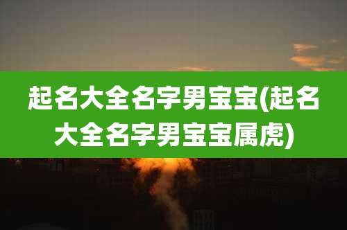 起名大全名字男宝宝(起名大全名字男宝宝属虎)