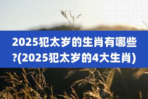 2025犯太岁的生肖有哪些?(2025犯太岁的4大生肖)