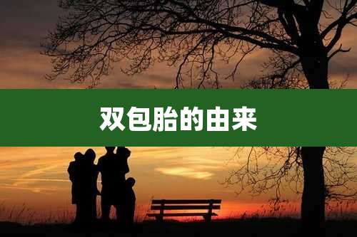 双包胎的由来