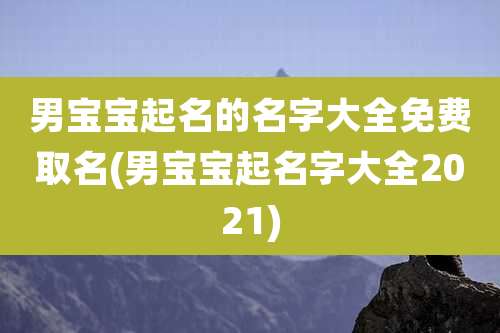男宝宝起名的名字大全免费取名(男宝宝起名字大全2021)