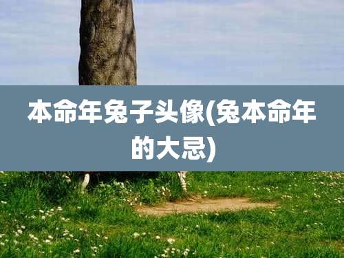 本命年兔子头像(兔本命年的大忌)
