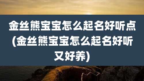 金丝熊宝宝怎么起名好听点(金丝熊宝宝怎么起名好听又好养)