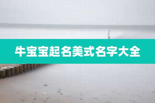 牛宝宝起名美式名字大全