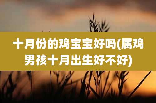 十月份的鸡宝宝好吗(属鸡男孩十月出生好不好)