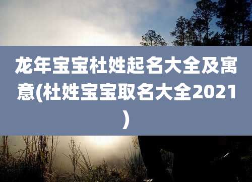 龙年宝宝杜姓起名大全及寓意(杜姓宝宝取名大全2021)