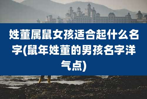 姓董属鼠女孩适合起什么名字(鼠年姓董的男孩名字洋气点)