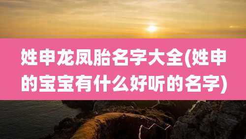姓申龙凤胎名字大全(姓申的宝宝有什么好听的名字)