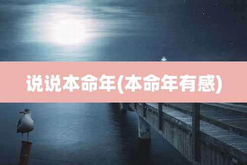 说说本命年(本命年有感)