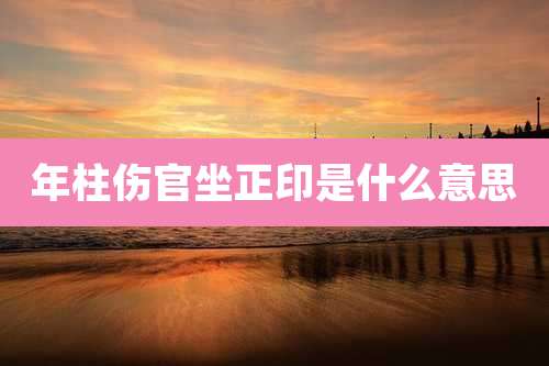 年柱伤官坐正印是什么意思