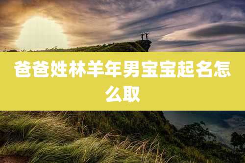 爸爸姓林羊年男宝宝起名怎么取