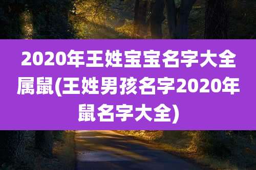 2020年王姓宝宝名字大全属鼠(王姓男孩名字2020年鼠名字大全)