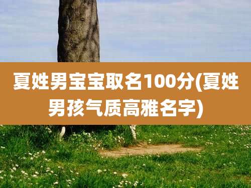 夏姓男宝宝取名100分(夏姓男孩气质高雅名字)