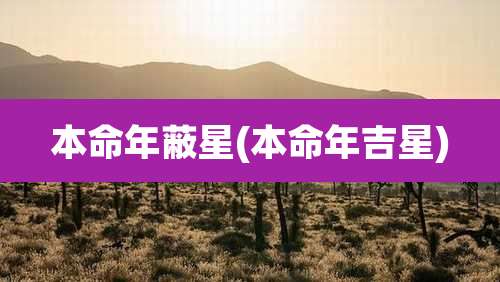 本命年蔽星(本命年吉星)
