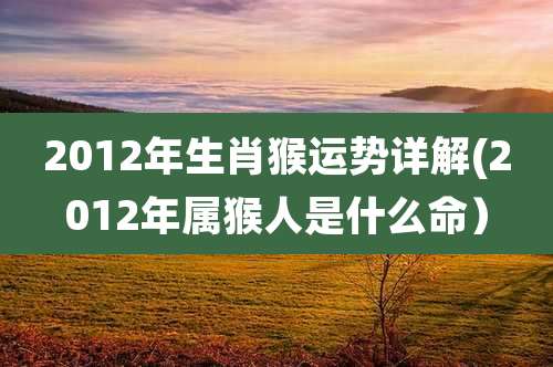 2012年生肖猴运势详解(2012年属猴人是什么命）