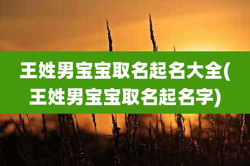 王姓男宝宝取名起名大全(王姓男宝宝取名起名字)
