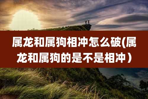 属龙和属狗相冲怎么破(属龙和属狗的是不是相冲)