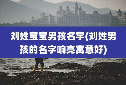 刘姓宝宝男孩名字(刘姓男孩的名字响亮寓意好)