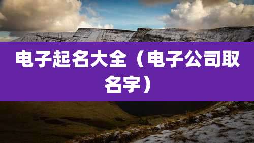 电子起名大全(电子公司取名字)