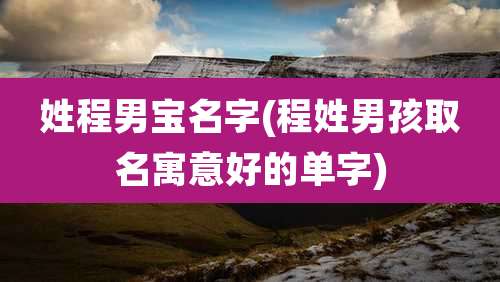 姓程男宝名字(程姓男孩取名寓意好的单字)