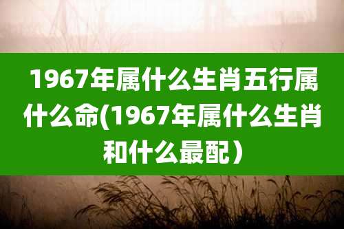 1967年属什么生肖五行属什么命(1967年属什么生肖和什么最配）