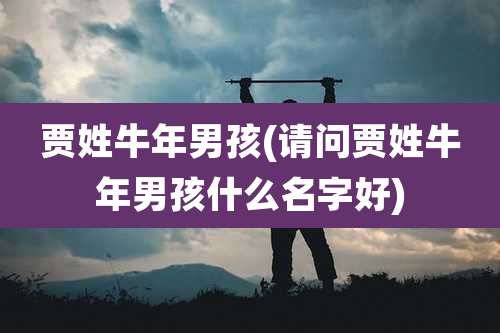 贾姓牛年男孩(请问贾姓牛年男孩什么名字好)