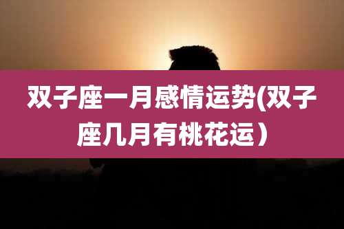 双子座一月感情运势(双子座几月有桃花运)
