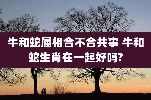 牛和蛇属相合不合共事 牛和蛇生肖在一起好吗?