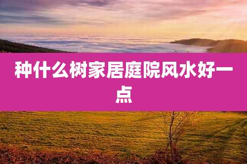 种什么树家居庭院风水好一点