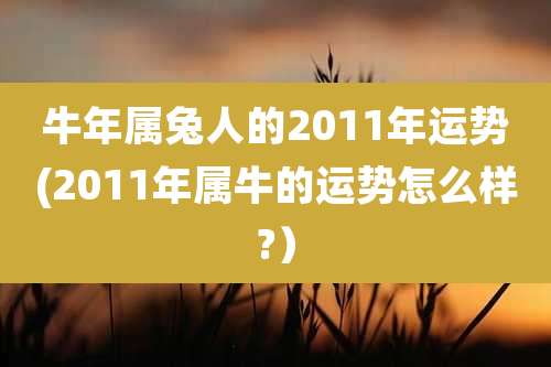 牛年属兔人的2011年运势(2011年属牛的运势怎么样?)