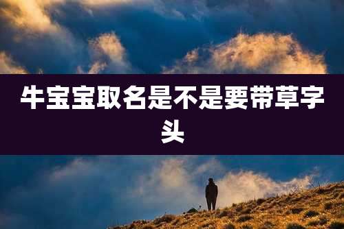 牛宝宝取名是不是要带草字头