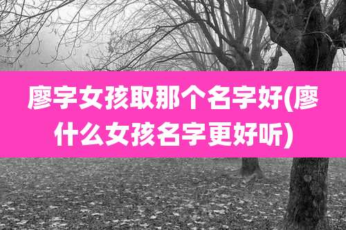 廖字女孩取那个名字好(廖什么女孩名字更好听)