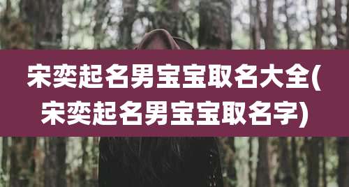宋奕起名男宝宝取名大全(宋奕起名男宝宝取名字)