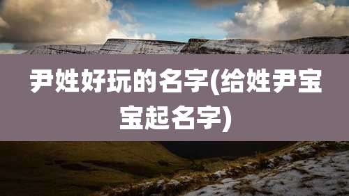 尹姓好玩的名字(给姓尹宝宝起名字)