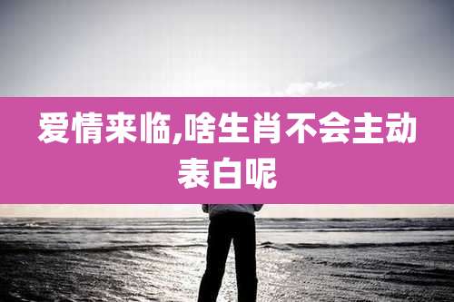 爱情来临,啥生肖不会主动表白呢