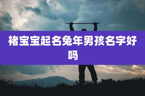 褚宝宝起名兔年男孩名字好吗