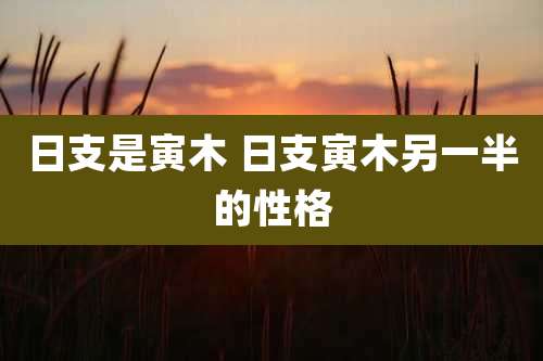 日支是寅木 日支寅木另一半的性格