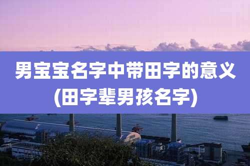 男宝宝名字中带田字的意义(田字辈男孩名字)