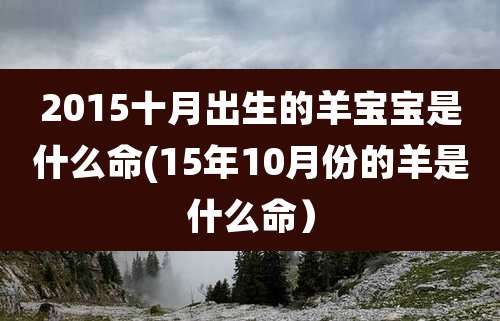 2015十月出生的羊宝宝是什么命(15年10月份的羊是什么命)