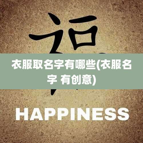 衣服取名字有哪些(衣服名字 有创意)