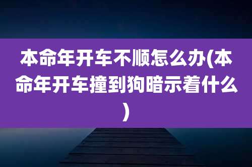 本命年开车不顺怎么办(本命年开车撞到狗暗示着什么)
