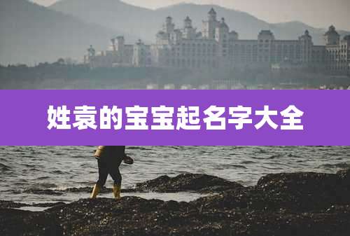 姓袁的宝宝起名字大全