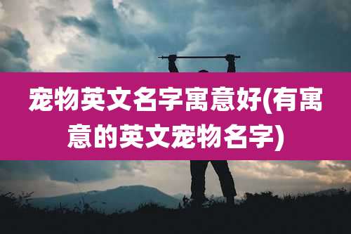 宠物英文名字寓意好(有寓意的英文宠物名字)