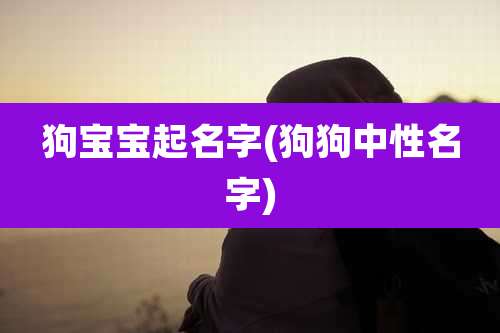 狗宝宝起名字(狗狗中性名字)