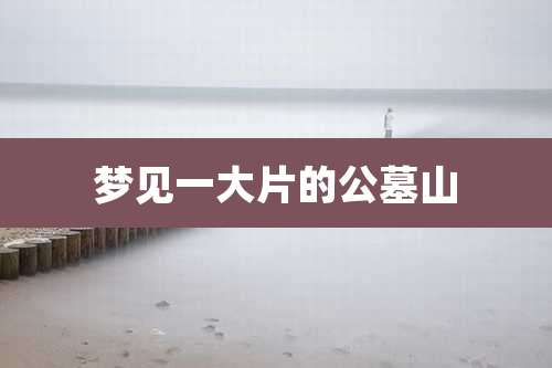 梦见一大片的公墓山