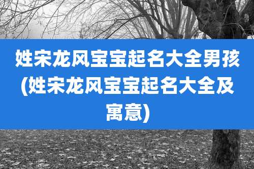 姓宋龙风宝宝起名大全男孩(姓宋龙风宝宝起名大全及寓意)