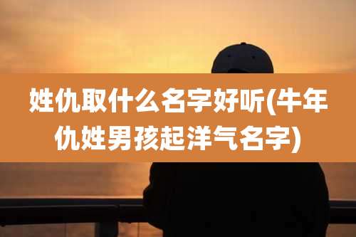姓仇取什么名字好听(牛年仇姓男孩起洋气名字)