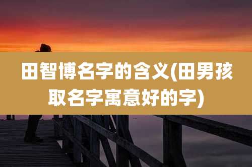 田智博名字的含义(田男孩取名字寓意好的字)